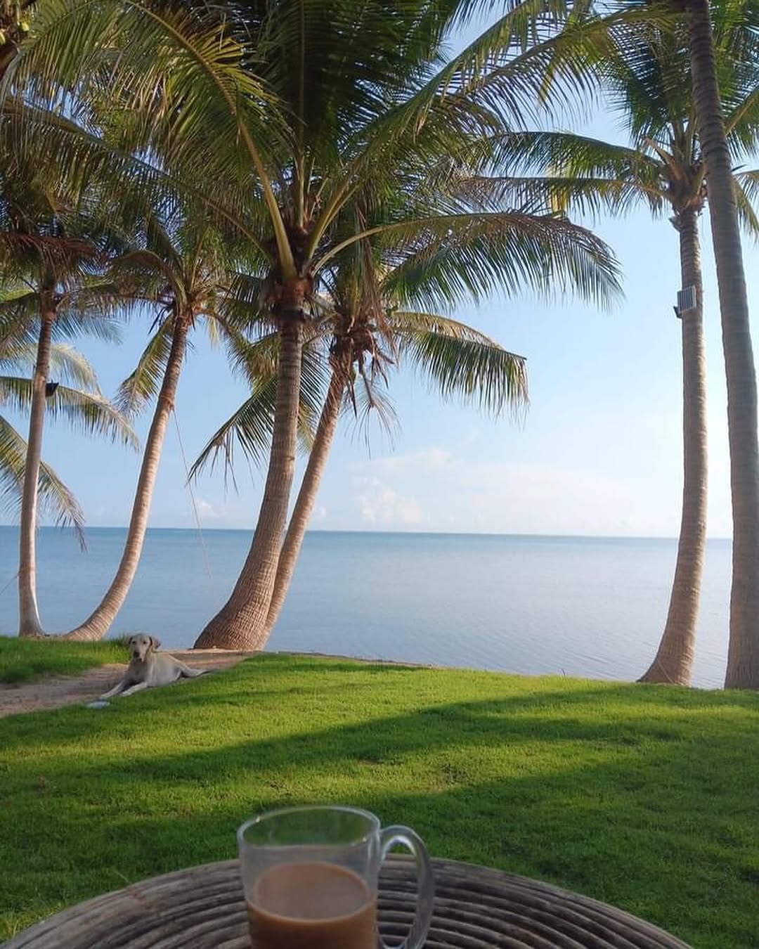 The Frame property view